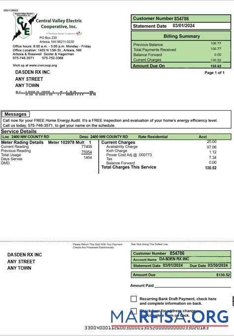Realistic USA CENTRAL VALLEY ELECTRIC business utility bill Word and PDF template